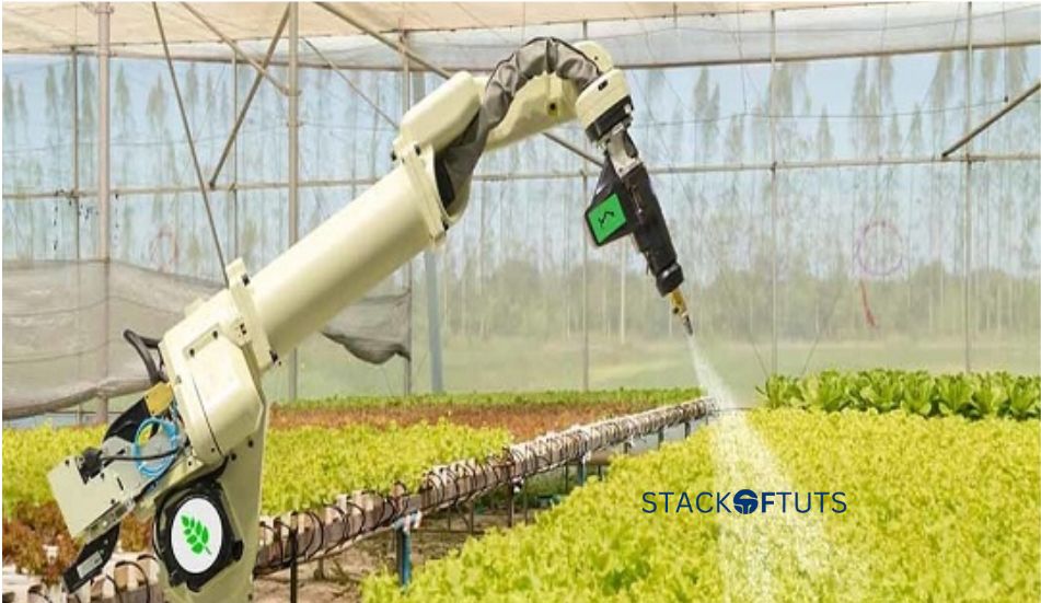 Increased crop yields: Impact of artificial intelligence on agriculture