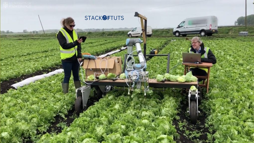 Robot-Assisted Harvesting